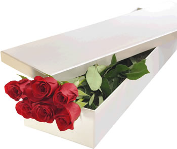 6 roses boxed